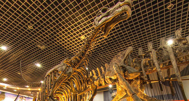 Museum
