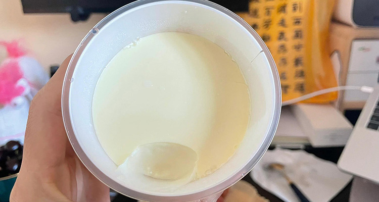 Sour Cream Yogurt
