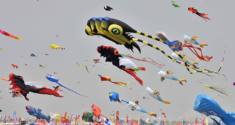 Chinese Kites