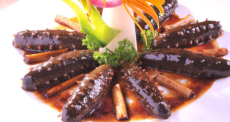 Sea Cucumber