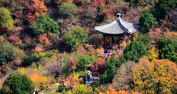 Fragrant Hills Park Beijing